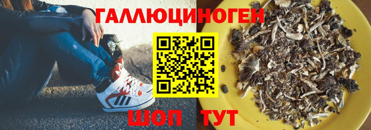 Первоуральск  Галлюциногенные грибы GOLDEN TEACHER  Вход с VPN  Псилоцибиновые грибы мухоморы 